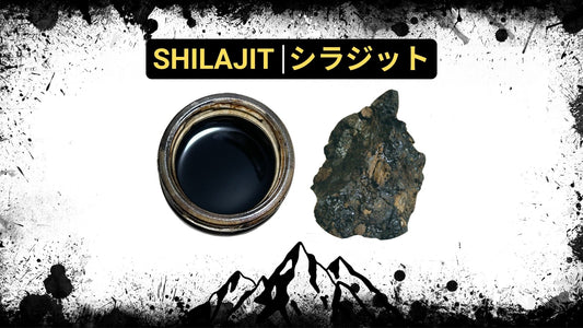 About Shilajit「シラジットとは」 - Himalayan Treasures & JP