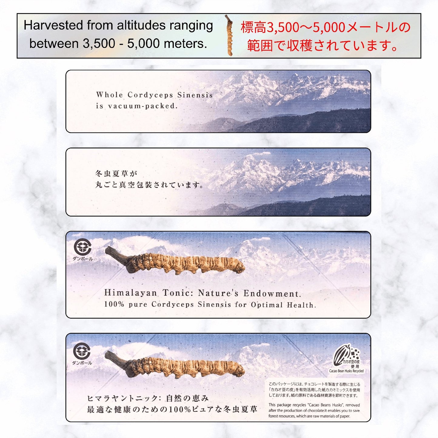 Himalayan Cordyceps Sinensis, 100% Natural